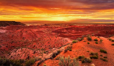 The Painted Desert: 5 Things to Do in this Arizona Treasure - YMT Vacations