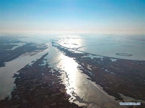 View of Yellow River Delta national natural reserve