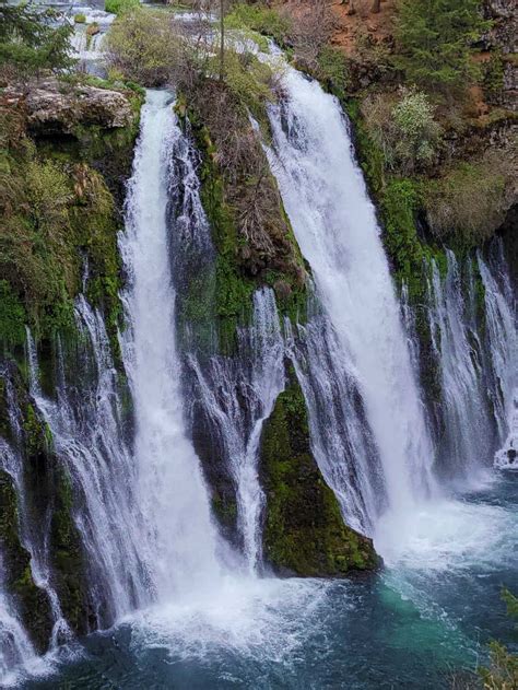 Hike Beautiful Burney Falls Trails in 2024 - CLOSURE UPDATE - Northern ...