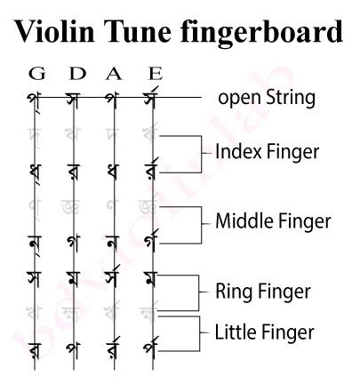 BD Violin Lab