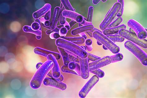 CDC Issues Update for Resistant Shigella Infections- Clinical Advisor