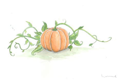 Pumpkin With Vines by Louisetheanimator on DeviantArt