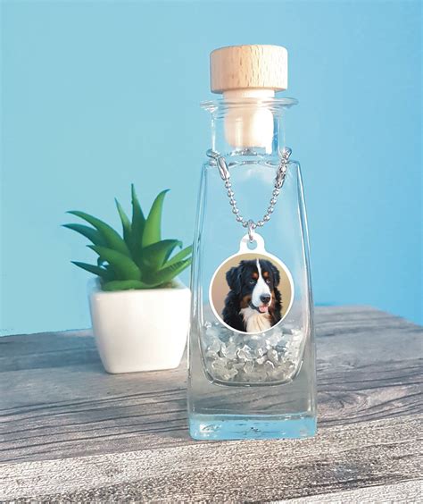 Pet Photo Urn For Cremation Ashes - Dog or Cat Personalised Glass ...