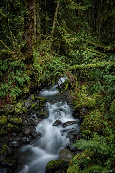 Lake Crescent Waterfall 2 Photograph by Mike Penney - Fine Art America