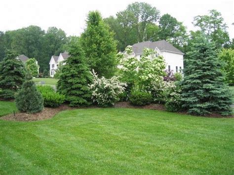 Front Yard Landscaping Ideas Evergreen Shrubs - Image to u