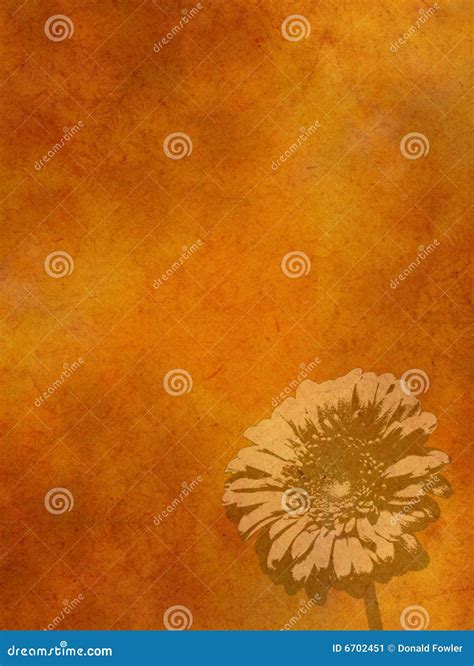 Orange paper background stock illustration. Illustration of flora - 6702451