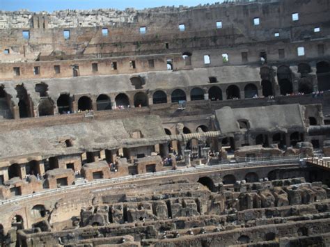 Inside the Coliseum! | Favorite places, Travel, Landmarks