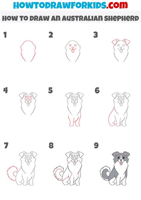 How to Draw an Australian Shepherd - Drawing Tutorial For Kids