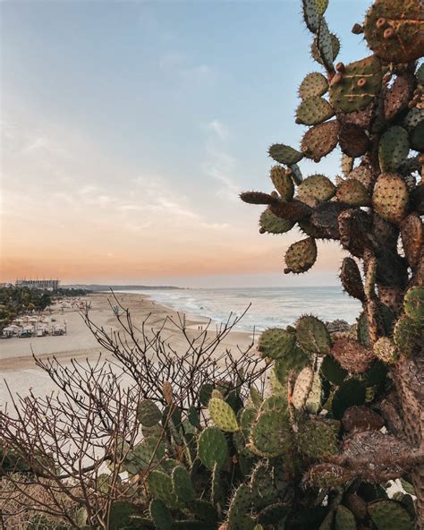 Puerto Escondido Beaches - Ultimate Guide to Mexico's Best Beach Town