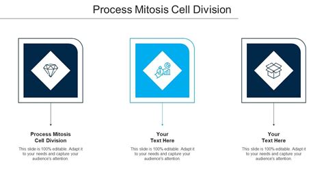 Process Mitosis Cell Division Ppt Powerpoint Presentation Layouts ...