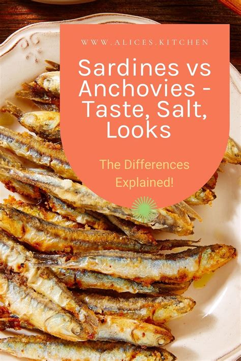 Sardines vs Anchovies | Alices Kitchen