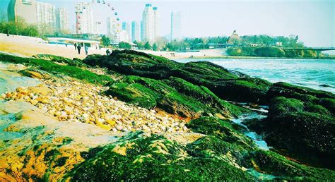 Liaoning 2021: Best of Liaoning Tourism - Tripadvisor