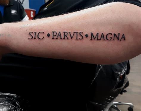 Top 101 Best Sic Parvis Magna Tattoo Ideas – [2020 Inspiration Guide ...