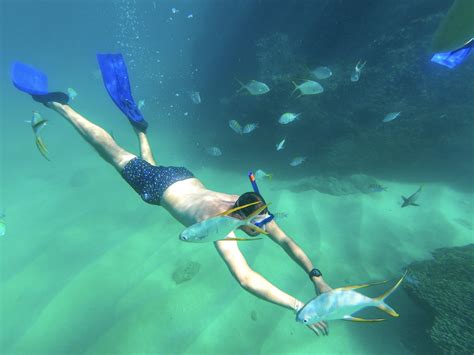 Cabo Snorkeling Tours - Best Tours in Cabo by Esperanza's Tours