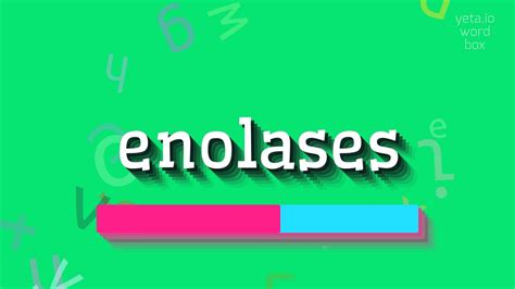 How to say "enolases"! (High Quality Voices) - YouTube