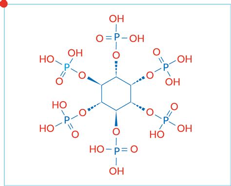 How to use phytase in monogastrics