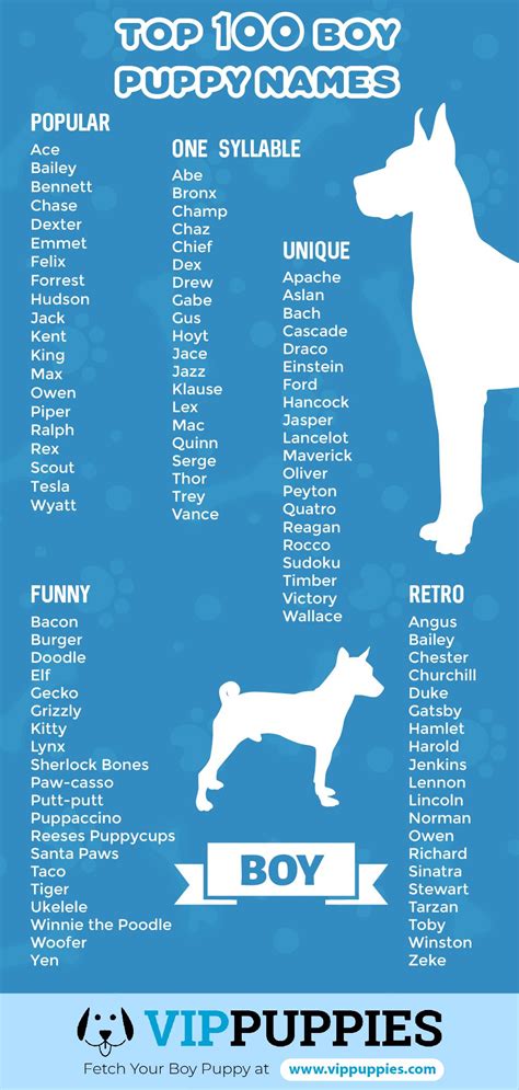 Top 100 puppy names for boys infographic Baby Puppies, Cute Puppies ...