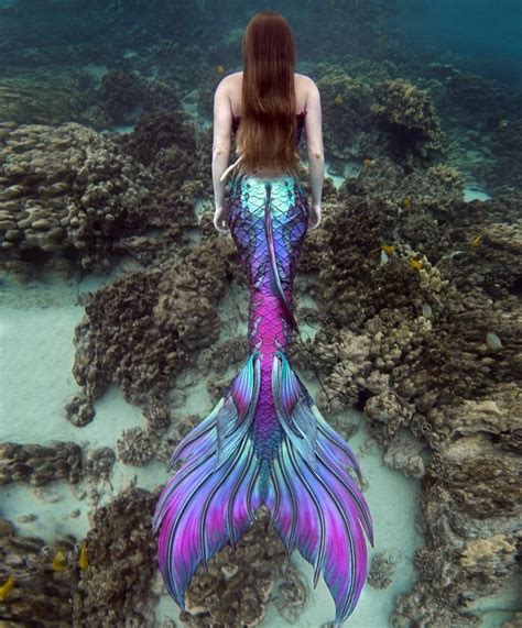 Pin on Mermaid | Mermaid photography, Realistic mermaid tails, Fin fun ...