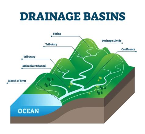 Catchment Diagram: Over 3 Royalty-Free Licensable Stock Vectors ...