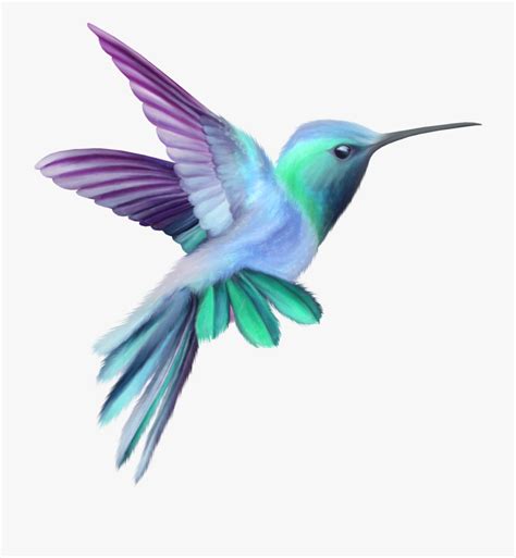 Hummingbird clipart fancy pictures on Cliparts Pub 2020! 🔝