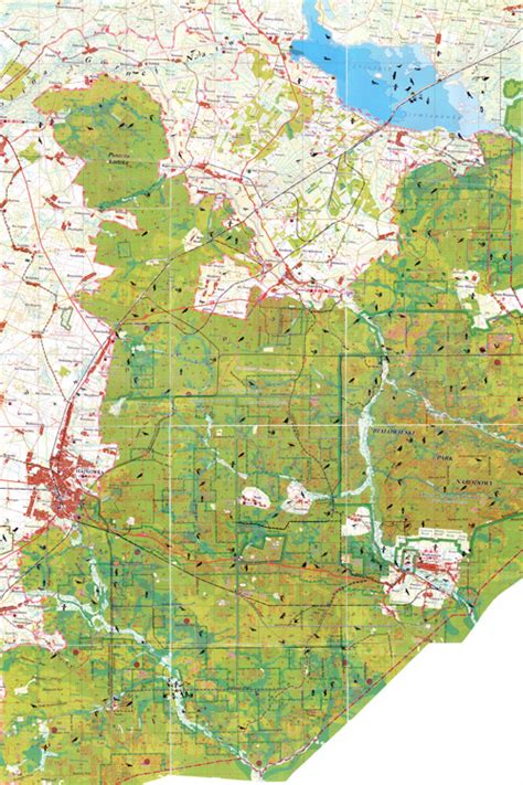 Białowieża Forest Paper Map | | Wild Poland