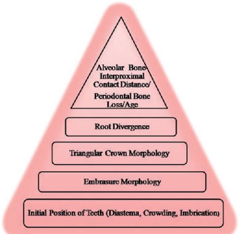 Esthetic considerations in interdental papilla: remediation and ...