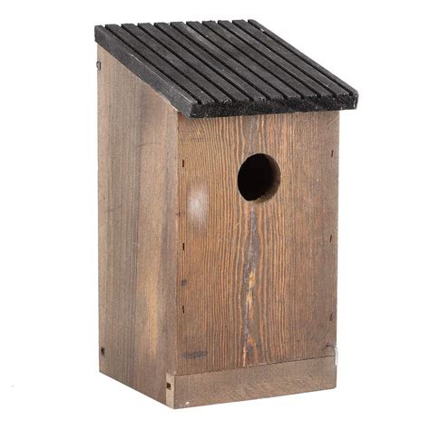 10 Best Woodpecker Bird Houses for Your Backyard - Hummingbirds Plus