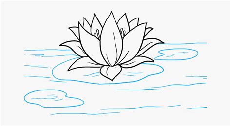 How To Draw A Lily Pad Flower Easy : These flowers are perfect if you ...