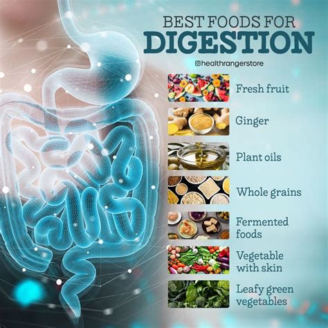 Foods Good For Digestion, Gut Health, Health And Wellness, Ginger Plant ...