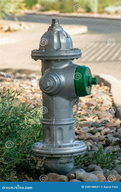 Gray Fire Hydrant in an Urban City Area with Green Pipe Valve and Rock ...