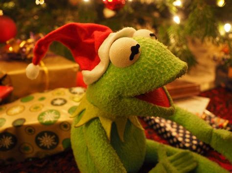 ボード「KERMIT: Christmas / Winter [Muppets]」のピン