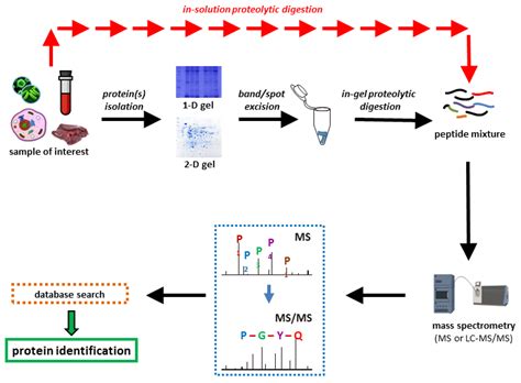 varázslat fém Között dia mass spectrometry nature sztori alagút Gyalog