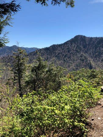 Chimney Tops Trail (Great Smoky Mountains National Park) - 2019 All You ...