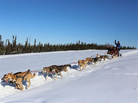 Alaska Northern Lights Aurora Train | Alaska Rail Vacations