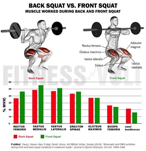 Front Squat vs. Back Squat – Which One Should You Do? – Fitness Volt