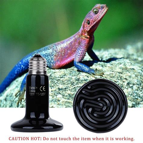 Zacro Reptile Heat Lamp 100W with One Digital Thermometer Infrared ...