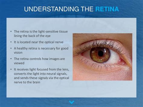 The Most Common Retinal Diseases