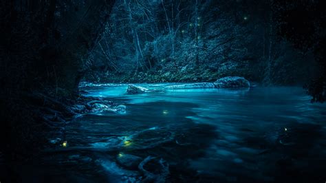 Forest Wallpaper 4K, River, Night, Dark, Magical