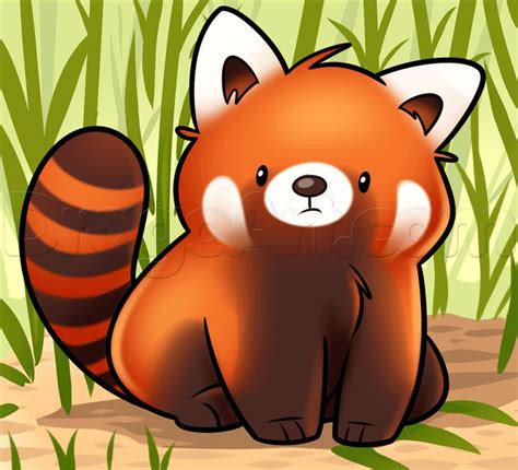 How to Draw a Red Panda, Step by Step, forest animals, Animals, FREE ...