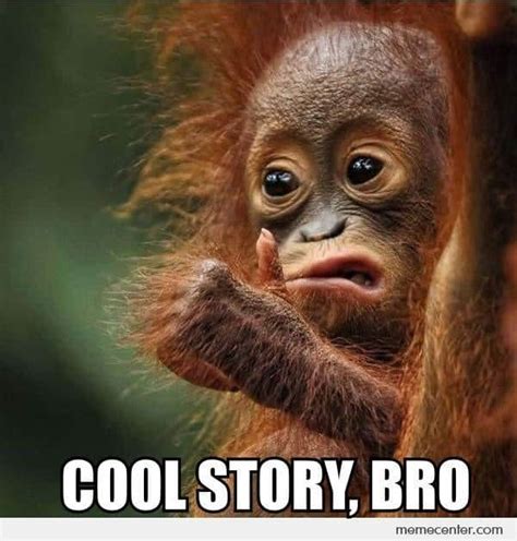 25 Funny Monkey Memes You'll Totally Fall In Love With - SayingImages.com