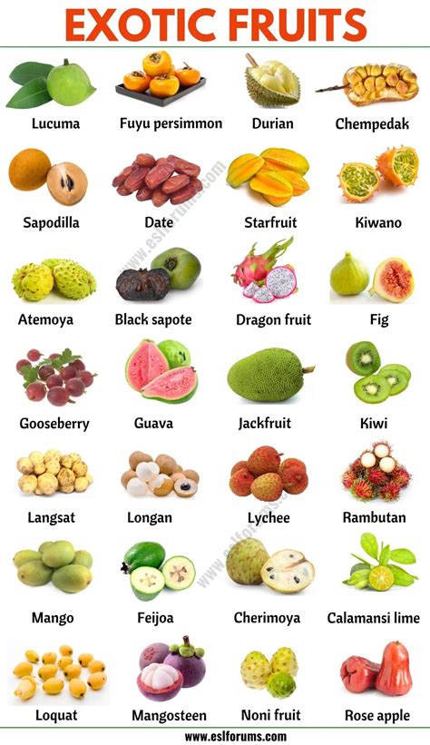 Exotic Fruits: List of 75+ Exotic Fruits From All Around the World ...