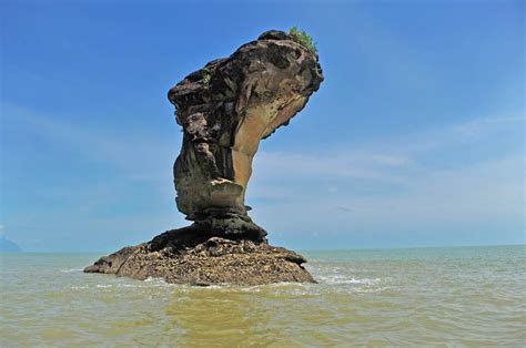 Bako National Park, Borneo | National parks, Borneo, Tropical ...