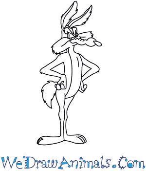 How to Draw Wile E. Coyote From Looney Tunes