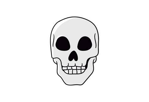 Human Skull Clipart Artwork Graphic by TiveCreate · Creative Fabrica