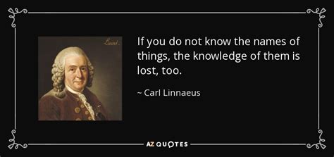 TOP 25 QUOTES BY CARL LINNAEUS | A-Z Quotes