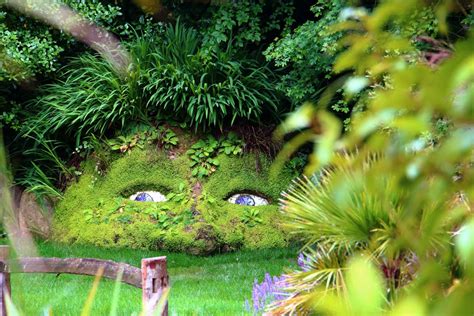 The Lost Gardens of Heligan: Rediscovering a Centuries-Old Paradise ...