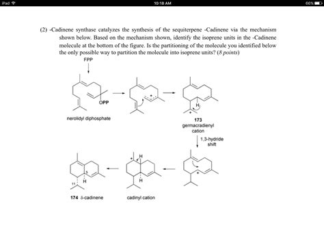 Solved Cadinene synthase catalyzes the synthesis of the | Chegg.com