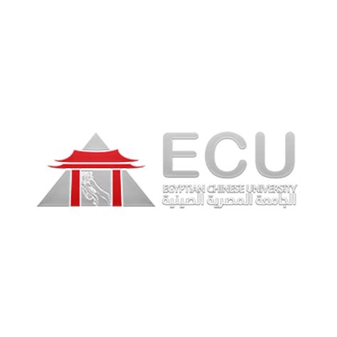 Egyptian Chinese University – HITS Solutions