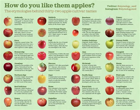 The Etymologies of Apple Names [Infographic] | Apple varieties, Make an ...