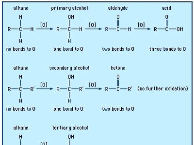 Carboxylic acid | Structure, Properties, Formula, Uses, & Facts ...